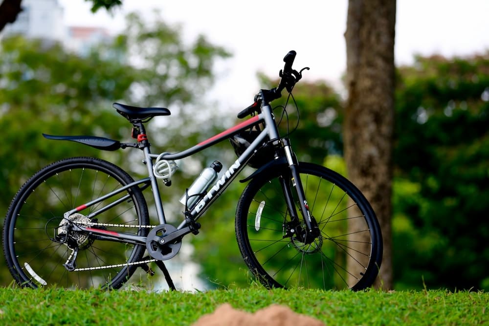 magasin de vélo -magasin de vélo Bedok Reservoir cycling route. Photo by Paras Kapoor
